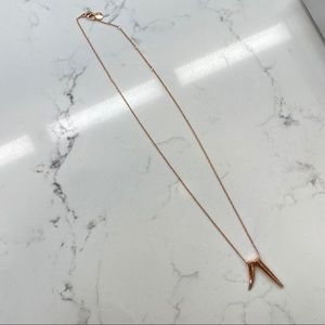 Stella & Dot Double Pave Horn Pendant